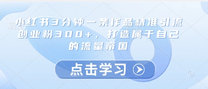 小红书3分钟一条作品精准引流创业粉300+，打造属于自己的流量帝国-chywc