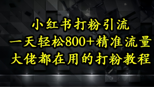 小红书打粉引流，一天轻松500+精准流量，大佬都在用的打粉教程-chywc