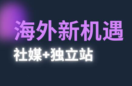 棕榈·2025出海新机遇(社媒+独立站)-chywc