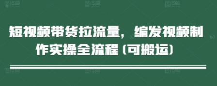 短视频带货拉流量，编发视频制作实操全流程(可搬运)-chywc