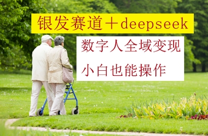 银发赛道+deepseek数字人全域变现，小白也能操作-chywc