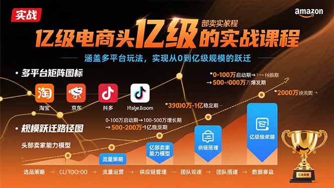亿级电商头部卖家的实战课程：涵盖多平台玩法，实现从0到亿级规模的跃迁-chywc