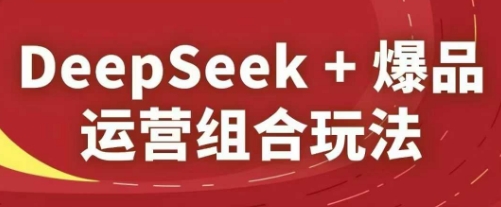 DeepSeek+爆品运营组合玩法，2025淘系精品课-chywc