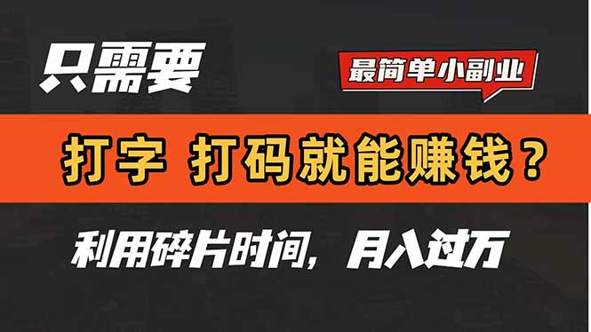 只需要打字，打码，就能赚钱？简单的赚钱小副业，利用碎片时间，月入过万-chywc
