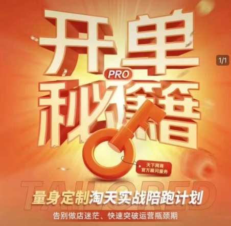 淘宝开单秘籍PRO，量身定制淘天实战陪跑计划，告别做店迷茫、快速突破运营瓶颈期(更新)-chywc