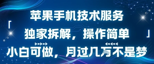 苹果手机技术服务，独家拆解，操作简单，小白可做，月过1W不是梦-chywc