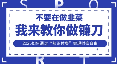 韭菜生涯终结者，我来教你做镰刀，2025如何通过“知识付费”实现财F自由【揭秘】-chywc