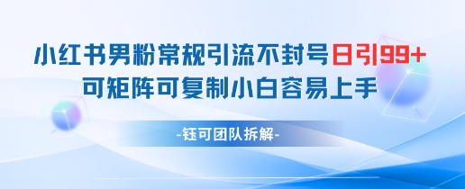 小红书男粉常规引流不封号日引99+变现简单 可矩阵可复制小白容易上手-chywc