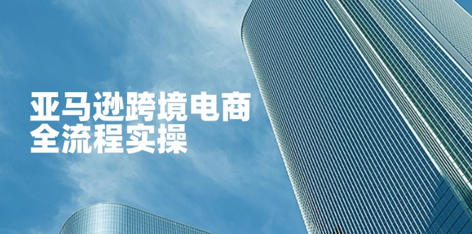 亚马逊跨境电商全流程实操，教你从零开始，掌握店铺运营与广告技巧-chywc