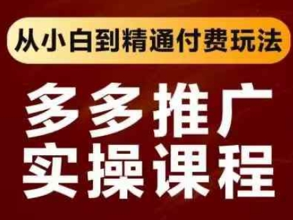拼多多推广实操课程，从小白到精通付费玩法-chywc