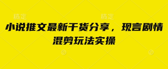 小说推文最新干货分享，现言剧情混剪玩法实操-chywc