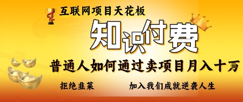 互联网项目天花板，知付付费项目，普通人如何通过卖项目月入十个，拒绝韭菜【揭秘】-chywc