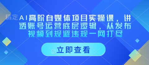 AI高阶自媒体项目实操课，讲透账号运营底层逻辑，从发布视频到规避违规一网打尽-chywc