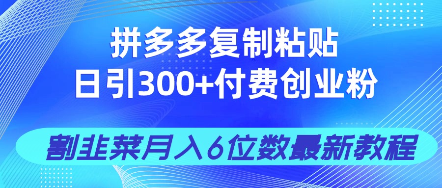 拼多多复制粘贴日引300+付费创业粉，割韭菜月入6位数最新教程！-chywc