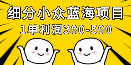 细分小众蓝海项目，一单利润3张，每月收入稳定过1w+-chywc