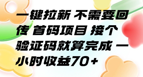 一键拉新 不需要回传 首码项目 接个验证码就算完成 一小时收益70+【揭秘】-chywc