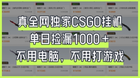 真全网独家CSGO挂G，单日捡漏1k+【揭秘】-chywc