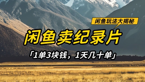 闲鱼卖纪录片1单3块钱，1天几十单，项目稳定有潜力-chywc