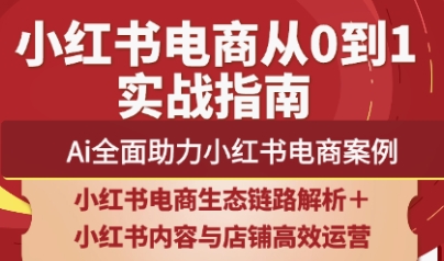 天诺老吴·2025小红书电商全链路运营-chywc