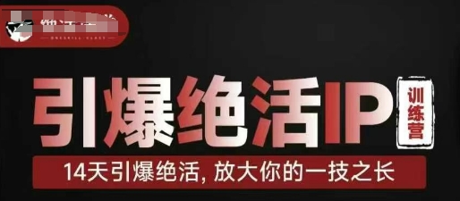 引爆绝活IP训练营，14天引爆绝活，放大你的一技之长-chywc