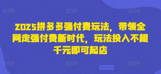 2025拼多多强付费玩法，带领全网走强付费新时代，玩法投入不超千元即可起店-chywc