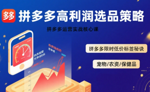 久号老师·拼多多选品暴利技术实战课-chywc
