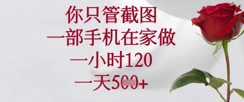 你只管截图，一部手机在家做，苹果安卓都可以，一小时120，一天5张+【揭秘】-chywc