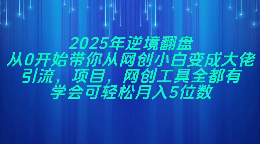 2025年逆境翻盘，从0开始带你从网创小白变成大佬，引流，项目，网创工…-chywc