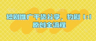 短剧推广干货分享，豹剧 1:1原创全流程-chywc