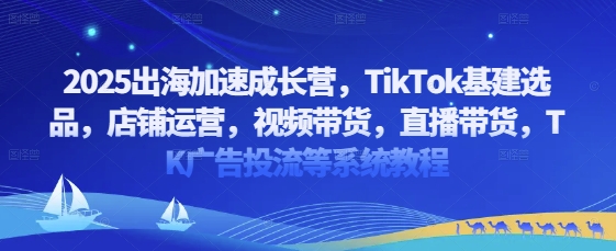 2025出海加速成长营，TikTok基建选品，店铺运营，视频带货，直播带货，TK广告投流等系统教程-chywc