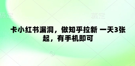 卡小红书漏洞，做知乎拉新 一天3张起，有手机即可-chywc