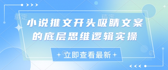 小说推文开头吸睛文案的底层思维逻辑实操-chywc