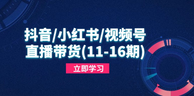 抖音/小红书/视频号/直播带货(11-16期-chywc