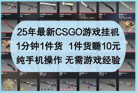 25年最新CSGO游戏挂G，1分钟1件货，1件货挣10元，纯手机操作，无需游戏经验【揭秘】-chywc