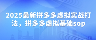 2025最新拼多多虚拟实战打法，拼多多虚拟基础sop-chywc