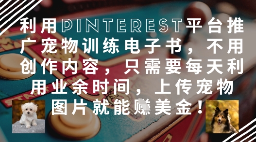 利用Pinterest平台推广宠物训练电子书，不用创作内容，只需要每天利用业余时间，上传宠物图片就能挣美金!-chywc