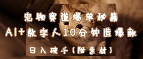 宠物赛道爆单秘籍：AI+数字人10分钟造爆款，日入1k-chywc
