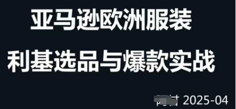 跨境电商选品案例24-25年，聚焦跨境电商选品策略与运营优化，助力卖家挖掘蓝海市场-chywc