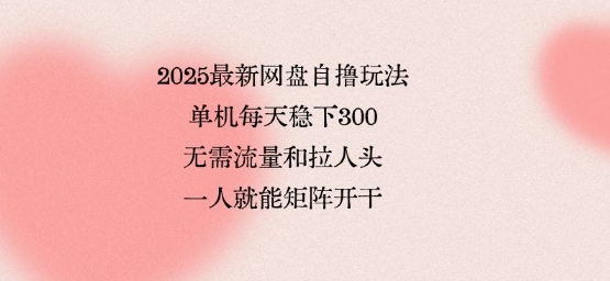 2025最新网盘自撸玩法，单机每天稳下3张，无需流量和拉人头，一个人就可轻松矩阵，全网独一份【揭秘】-chywc