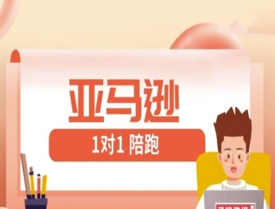 亚马逊1对1陪跑课(FBA/FBM精铺)跨境亚马逊教程-chywc