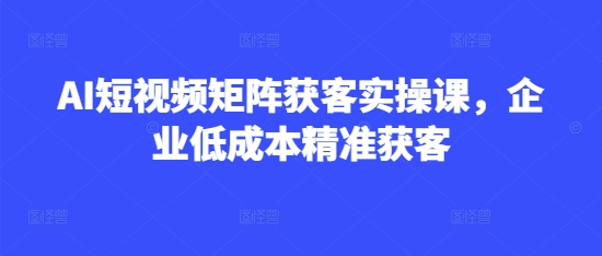 AI短视频矩阵获客实操课，企业低成本精准获客-chywc