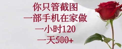 你只管截图，一部手机在家做，一小时120.一天5张【揭秘】-chywc