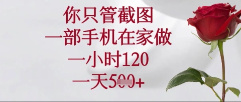 你只管截图，一部手机在家操作，一小时120.一天5张【揭秘】-chywc