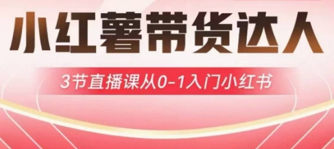 小红薯达人带货启航计划，3节直播课从0-1入门小红书-chywc