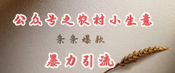 deepseek写农村小项目，条条爆款，暴力引流-chywc