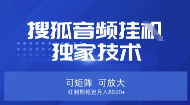 【搜狐音频挂G】独家技术，可矩阵可放大，红利期稳定月入8k【揭秘】-chywc