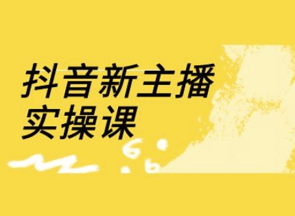 抖音新主播实操课，直播间流量运营线上实操课(18节)-chywc