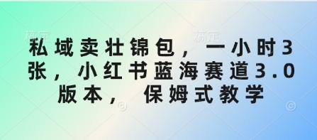 私域卖壮锦包，一小时3张，小红书蓝海赛道3.0版本， 保姆式教学-chywc