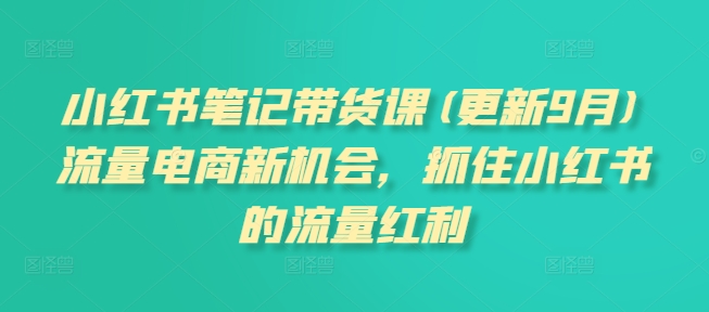 小红书笔记带货课(更新25年3月)流量电商新机会，抓住小红书的流量红利-chywc