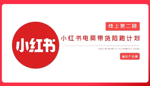 2025小红书虚拟电商实战课-chywc